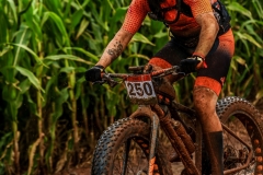 sertaomtb_3586_418239_17120